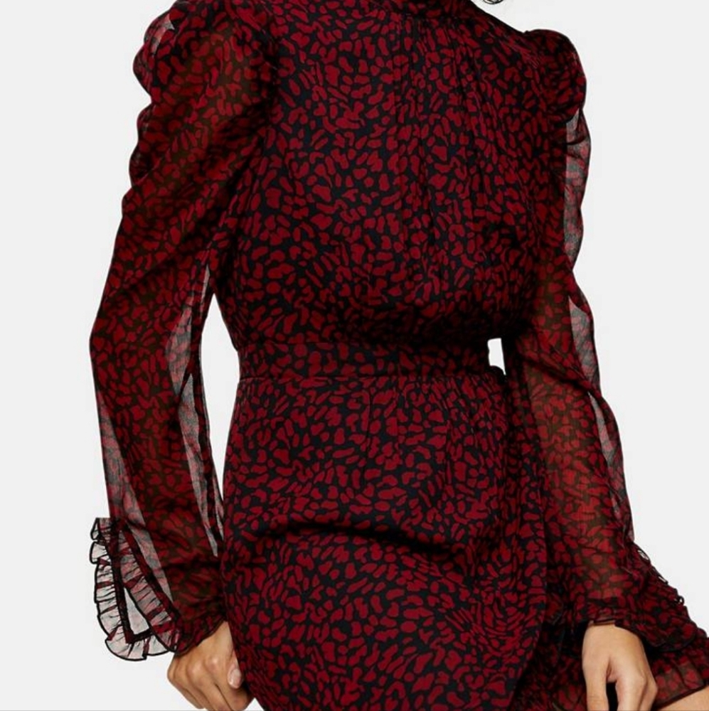Topshop dress